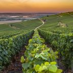 Off the Beaten Wine Path