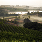 Tannat: The Crown Jewel of Uruguay.