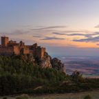 Verdejo: The Spanish Sauvignon Blanc Alternative